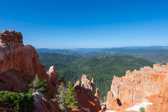 The canyon from the deck