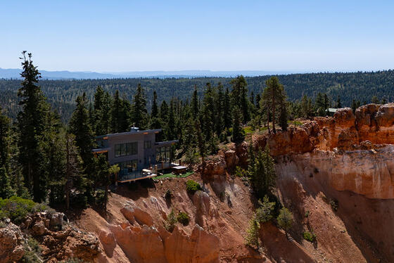 Rim and pines