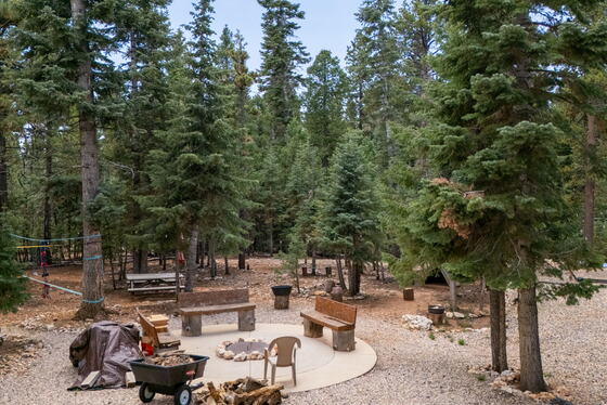 The fire pit